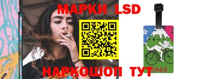 apvp Дмитров