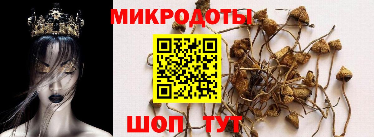 Псилоцибиновые грибы Psilocybine cubensis  Вход с VPN  купить закладку  Боровичи 